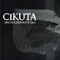 Cikuta - The Golden Root Era