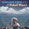 2016 Tidal Wave