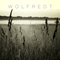 2011 Wolfredt