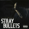 2009 Stray Bullets