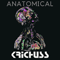 2017 Anatomical (EP)