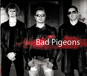 Bad Pigeons